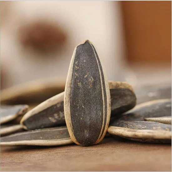 Raw Material 363 &361 Sunflower Seeds From Source Factory