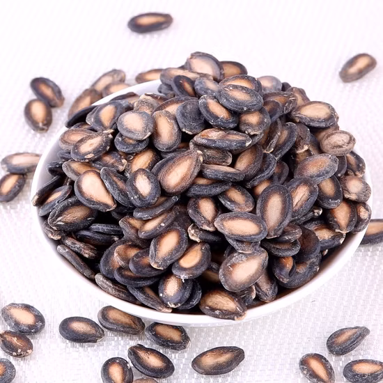 China Wholesale Price Raw Large Size Black Watermelon Seeds