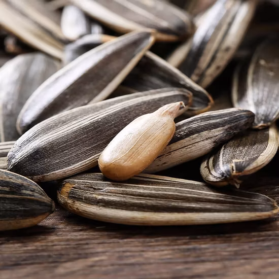 Raw Material 363 &361 Sunflower Seeds From Source Factory