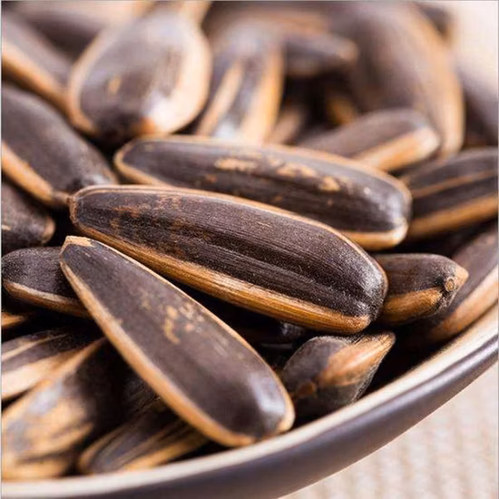Raw Material 363 &361 Sunflower Seeds From Source Factory