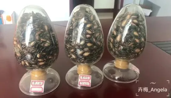 China Wholesale Price Raw Large Size Black Watermelon Seeds