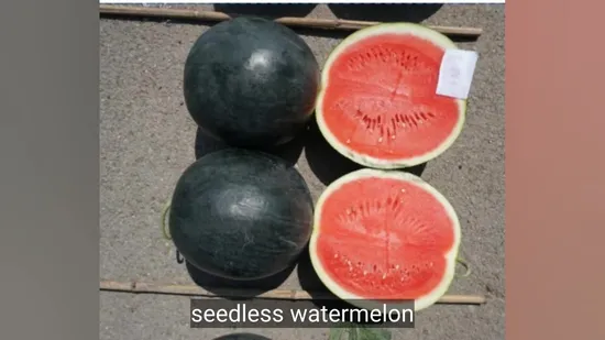 Black Diamond Round Watermelon Seeds
