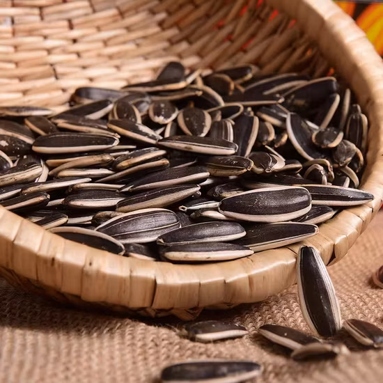 Raw Material Sunflower Seeds 361 Cheap Price and High Quality From China Factory