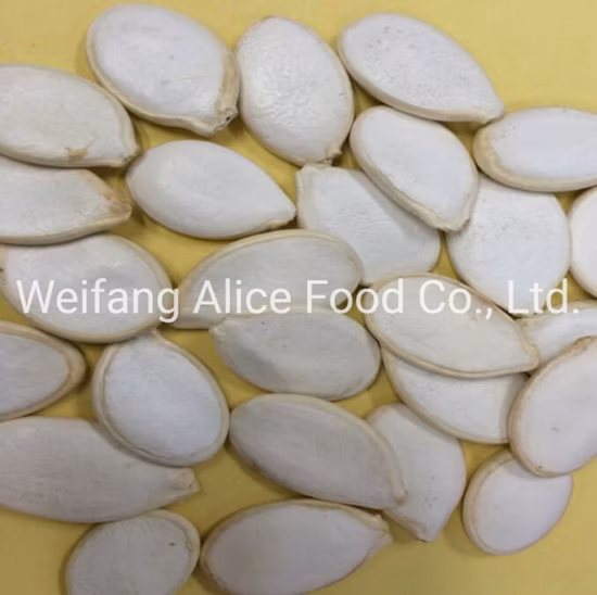 Exporting Top Quality Pumpkin Seeds Kernels