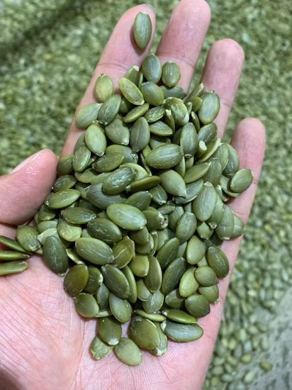 New Crop Chinese Pumpkin Seeds Shiny Skin Kernel Grade AA